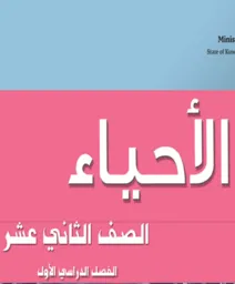 الفصل الأول